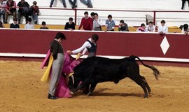 Gran clase práctica de toreo de la escuela de tauramaquia de la comunidad de Madrid
