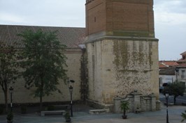 DSC03849.jpg