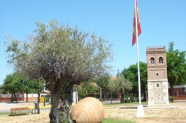 DSC08901.jpg