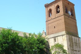 DSC08919.jpg