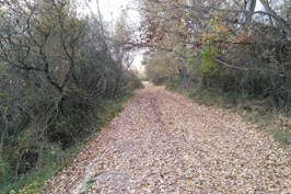 IMG_20151121_171217.jpg