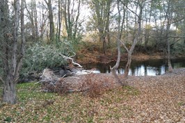 IMG_20151121_171247.jpg