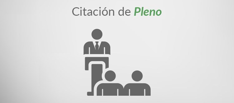 Citación de Pleno - 8 de mayo