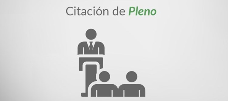 Citación de Pleno - 19 de diciembre