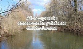 Alianza para la conservación y defensa del RÍO JARAMA
